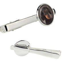 Teckel à poil ras épingle de