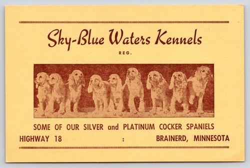 Brainerd sky blue - brainerd~sky,