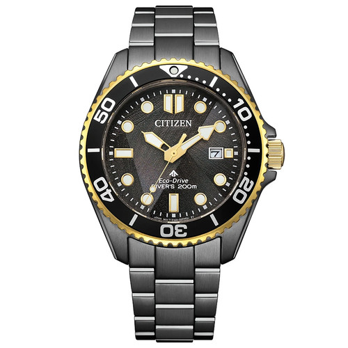 Citizen promaster light - citizen,
