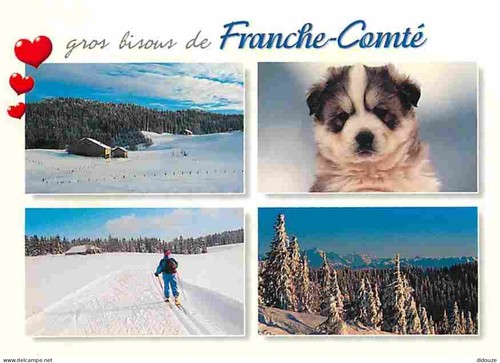 Carte postale animaux - -,