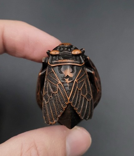 Netsuke cigale sur une noix - sur,