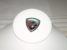 Vintage Morpho Butterfly Wing