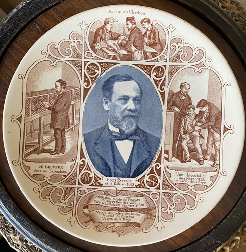 Louis pasteur assiette - pasteur,