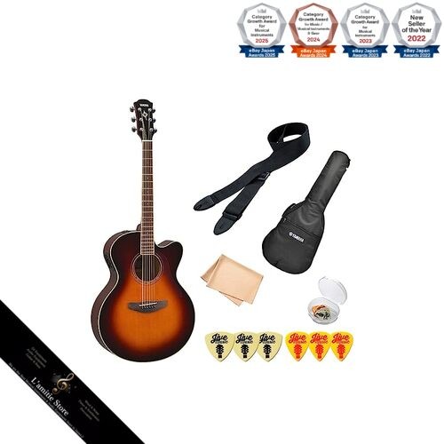 Guitare acoustique électrique