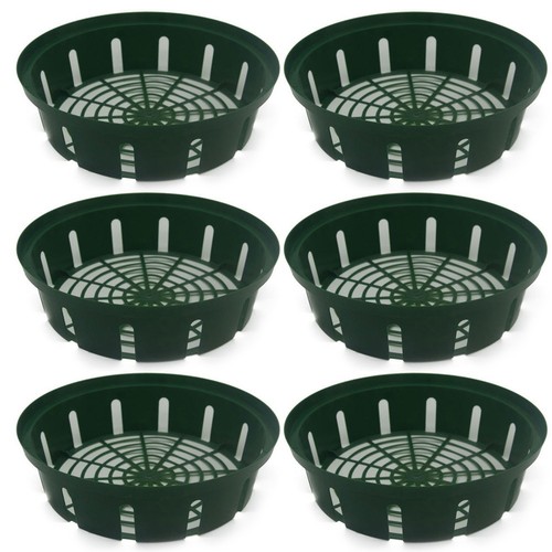 Panier bulbes fleurs - bulbes, de