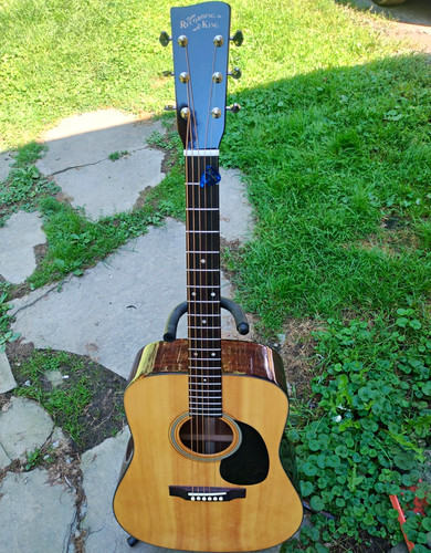 Recording king 318 series - recording,