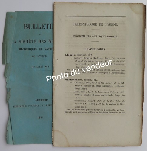 Paléontologie cotteau 1857 - cotteau,,