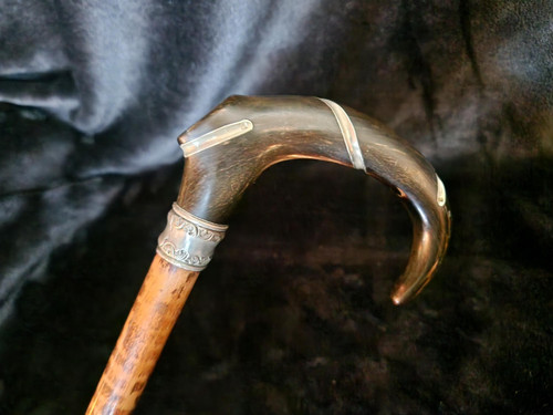 Canne ancienne corne et - corne,