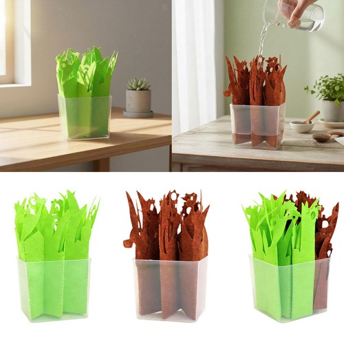 Humidificateur pour terrarium