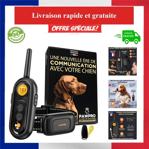 Collier dressage chien - collier,