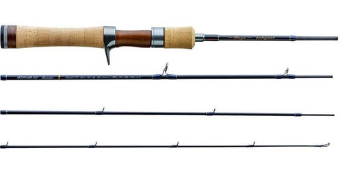Tenryu rayz integral - tenryu,