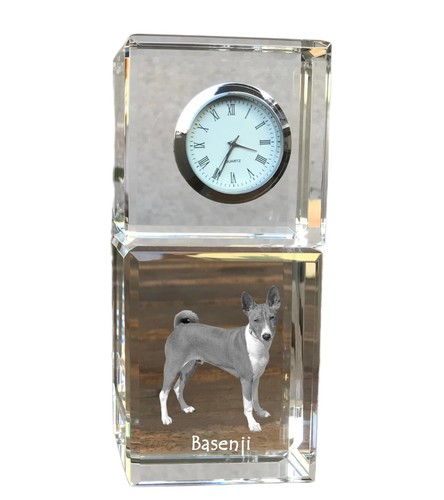 Basenji kongo terrier - kongo-terrier,
