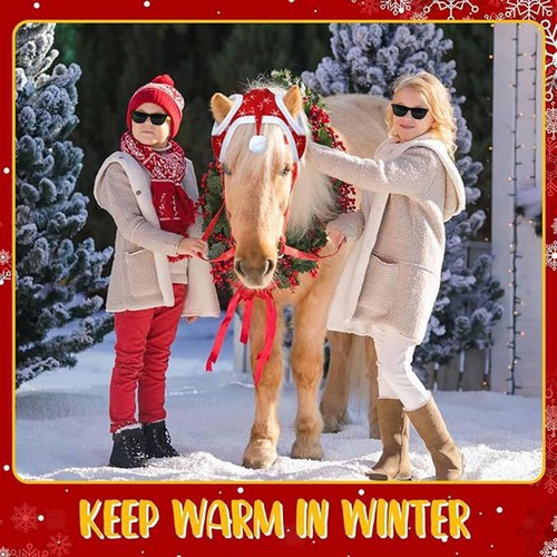 Bonnet noël pour cheval - noël,