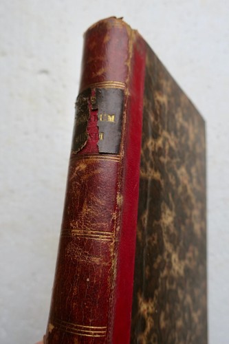Bonaventure des periers - bonaventure,