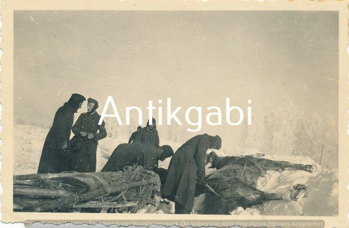 Photo soldats wk2 - photo,