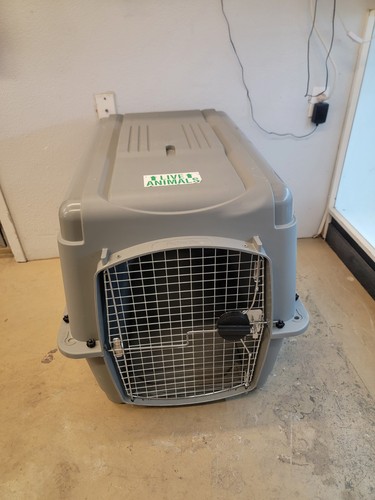 Sky kennel gray x 27 - x,
