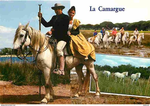 Carte postale animaux - postale,