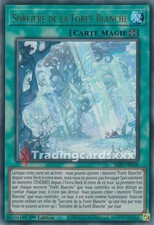 Yu-Gi-Oh! Sorcière de la Forêt Blanche : UR ALIN-FR058