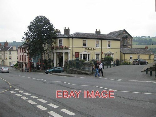 Photo the puzzle tree - ,