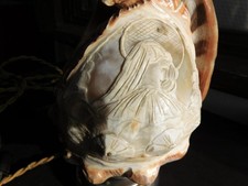 Lampe veilleuse coquillage