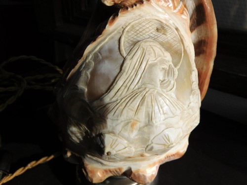 Lampe veilleuse coquillage