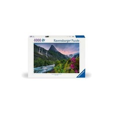 Puzzle 4000 pièces