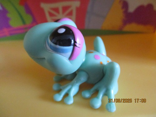 Petshop grenouille 2357 - petshop,