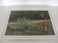 ANCIENNE PLANCHE AFFICHE