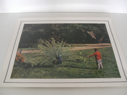 Ancienne planche affiche - ancienne,
