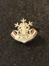 Pin's Insigne Ski ESF Ourson Jardin D'enfants 