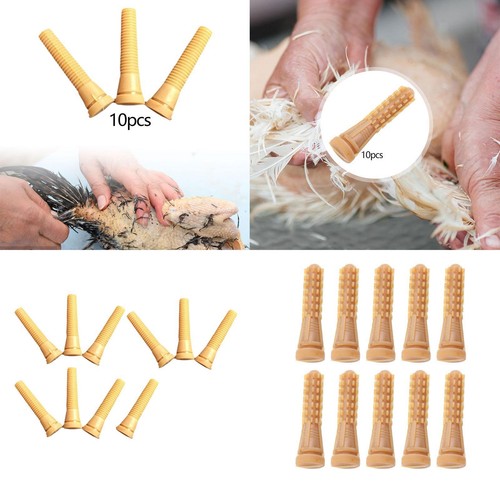 Lot doigts de plumage - 10,