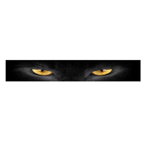 Car sun visor strip - car,