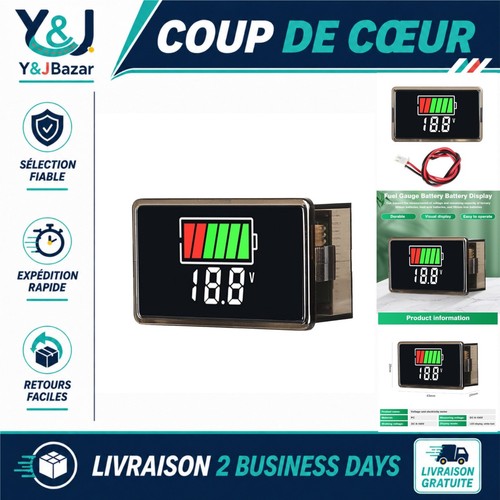 Voltmètre numérique batterie