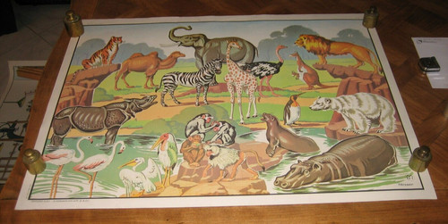 Ancienne affiche scolaire - affiche, mdi