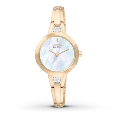 NEW Citizen Eco drive