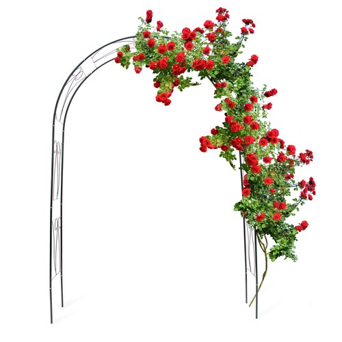 Arche rosiers support - support, pour