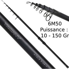 Canne pêche au posé