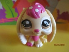 Petshop Lapin Bélier #2086