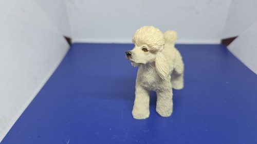 Collection atlas chien - , (15)
