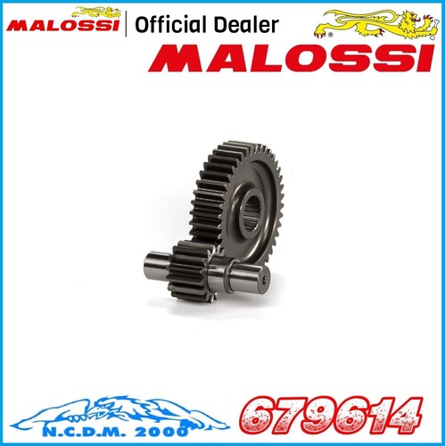 Malossi secondary gears - malossi,
