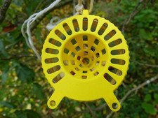 Lot de 10 pièges à frelon