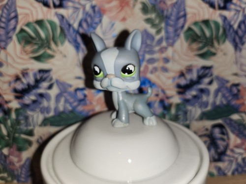 Littlest petshop bouledogue - littlest, petshop,