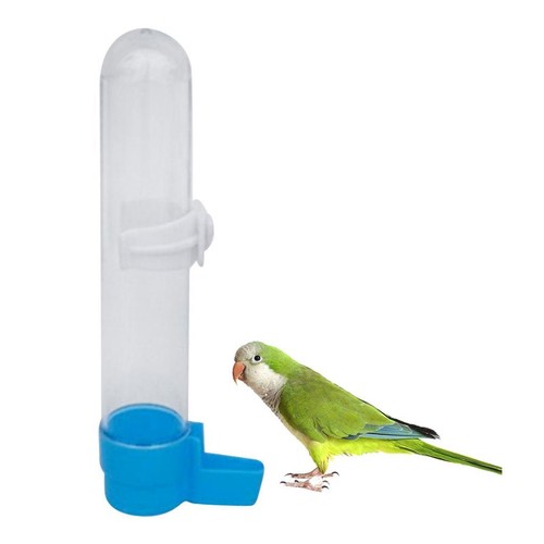 Abreuvoir pour oiseaux - , de