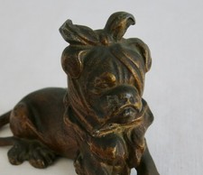 BULLDOG, bouledogue mal de