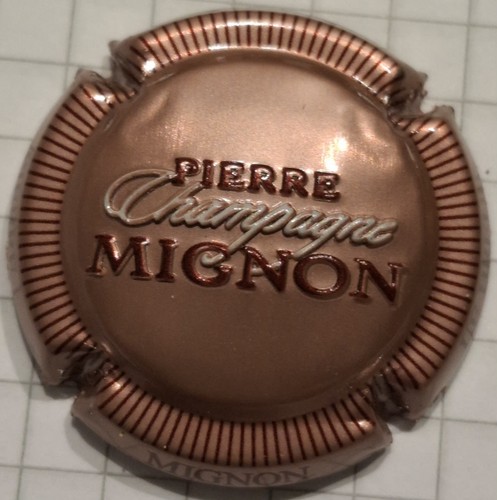 Capsule champagne pierre - capsule,