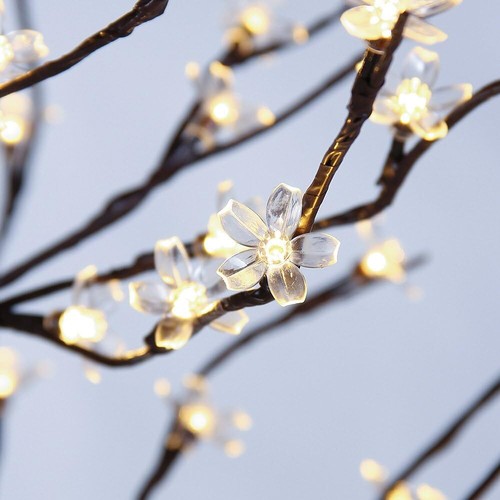 Cherry blossom tree - cherry, 5ft