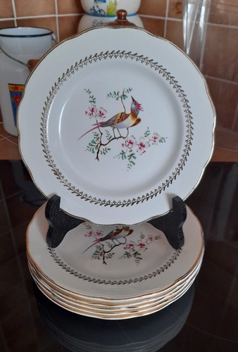 Lot assiettes à - 🌾lot, de