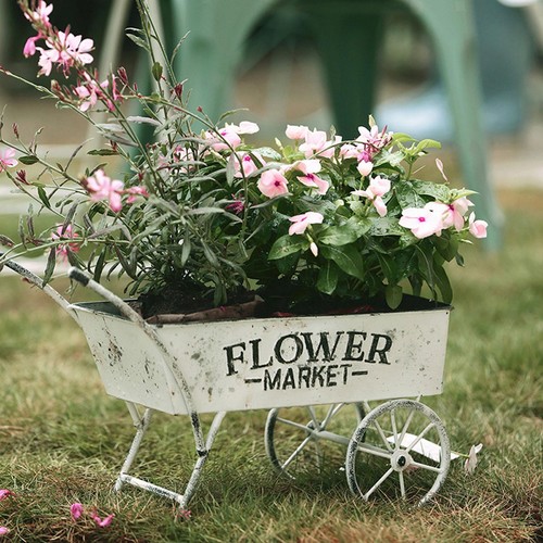 Jardinière décorative - , en