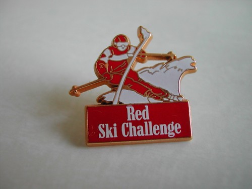 Pin slalom montagne et - slalom,