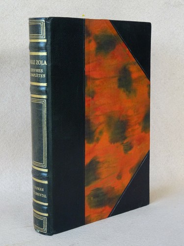 Emile zola le roman - le,